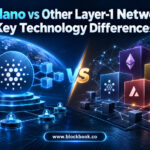 Cardano vs Other Layer-1 Networks: Key Technology Differences